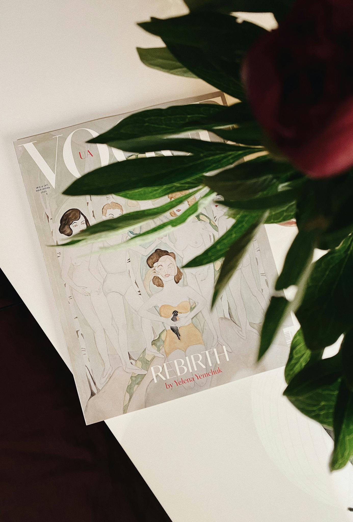 A stylish magazine and vibrant plant on a sleek indoor table setting.