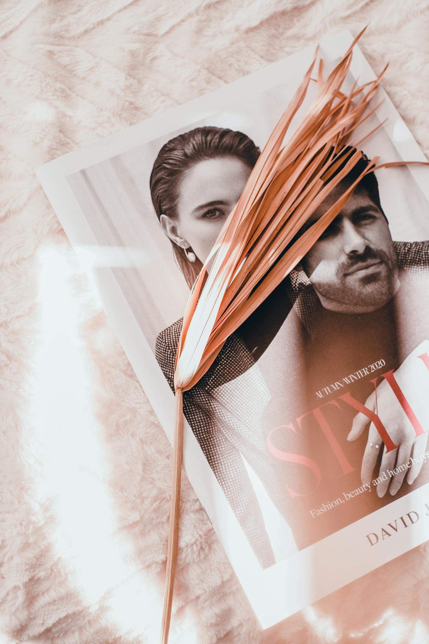 Sunlit photo of a fashion magazine with tropical leaf decoration, exuding elegance and style.